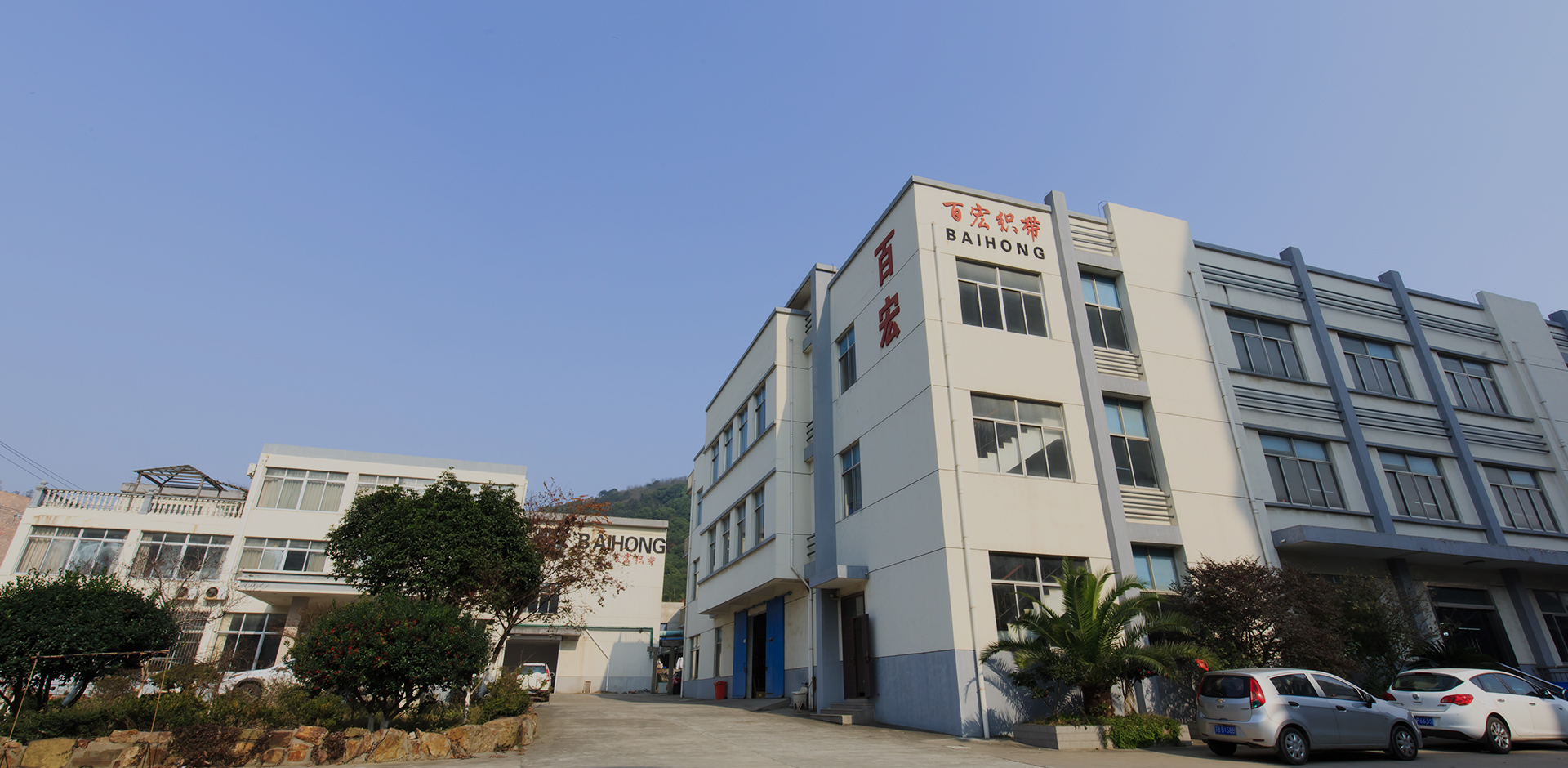 Baihong fortsetter å strebe etter å bli ledende innen nettindustrien 